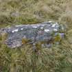 Digital photograph of rock art panel context, Scotland's Rock Art Project, Strath Sgitheach Balnacrae West Lower, Highland