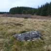 Digital photograph of rock art panel context, Scotland's Rock Art Project, Strath Sgitheach Balnacrae West Lower, Highland