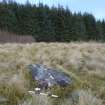 Digital photograph of rock art panel context, Scotland's Rock Art Project, Strath Sgitheach Balnacrae West Lower, Highland