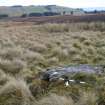 Digital photograph of rock art panel context, Scotland's Rock Art Project, Strath Sgitheach Balnacrae West Lower, Highland