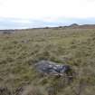 Digital photograph of rock art panel context, Scotland's Rock Art Project, Strath Sgitheach Balnacrae West Lower, Highland