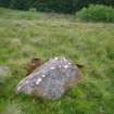 Digital photograph of panel in context with scale, Scotland's Rock Art Project, Strath Sgitheach Balnacrae West Lower, Highland