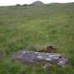 Digital photograph of panel in context without scale, Scotland's Rock Art Project, Strath Sgitheach Balnacrae West Lower, Highland