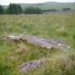 Digital photograph of panel in context without scale, Scotland's Rock Art Project, Strath Sgitheach Balnacrae West Lower, Highland