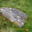 Digital photograph of panel to east, from Scotland's Rock Art Project, Strath Sgitheach Balnacrae West Lower, Highland