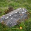 Digital photograph of panel to north, from Scotland's Rock Art Project, Strath Sgitheach Balnacrae West Lower, Highland