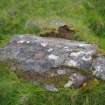 Digital photograph of panel to west, from Scotland's Rock Art Project, Strath Sgitheach Balnacrae West Lower, Highland