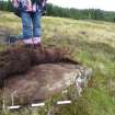 Digital photograph of panel to north, from Scotland's Rock Art Project, Strath Sgitheach Balnacrae West, Highland