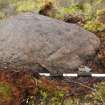 Digital photograph of panel to west, from Scotland's Rock Art Project, Strath Sgitheach Cnoc A' Mhuilinn 4, Highland