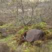 Digital photograph of panel in context with scale, from Scotland's Rock Art Project, Strath Sgitheach Cnoc A' Mhuilinn 4, Highland