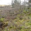 Digital photograph of rock art panel context, Scotland's Rock Art Project, Strath Sgitheach Cnoc A' Mhuilinn 4, Highland