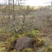 Digital photograph of panorama, from Scotland's Rock Art Project, Strath Sgitheach Cnoc A' Mhuilinn 4, Highland