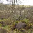 Digital photograph of rock art panel context, Scotland's Rock Art Project, Strath Sgitheach Cnoc A' Mhuilinn 4, Highland