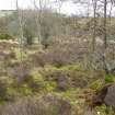 Digital photograph of rock art panel context, Scotland's Rock Art Project, Strath Sgitheach Cnoc A' Mhuilinn 4, Highland