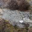 Digital photograph of panel before cleaning, from Scotland's Rock Art Project, Strath Sgitheach Cnoc A' Mhuilinn 6, Highland