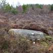 Digital photograph of panel to north, from Scotland's Rock Art Project, Strath Sgitheach Cnoc A' Mhuilinn 6, Highland