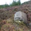 Digital photograph of panel to west, from Scotland's Rock Art Project, Strath Sgitheach Cnoc A' Mhuilinn 6, Highland