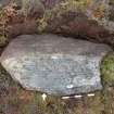 Digital photograph of rock art panel context, Scotland's Rock Art Project, Strath Sgitheach Cnoc A' Mhuilinn 6, Highland