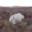 Digital photograph of panel to north, from Scotland's Rock Art Project, Strath Sgitheach Cnoc A' Mhuilinn 12, Highland