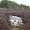 Digital photograph of panel to east, from Scotland's Rock Art Project, Strath Sgitheach Cnoc A' Mhuilinn 12, Highland