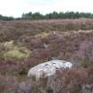 Digital photograph of panel to west, from Scotland's Rock Art Project, Strath Sgitheach Cnoc A' Mhuilinn 12, Highland