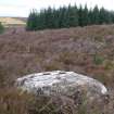 Digital photograph of panel to south, from Scotland's Rock Art Project, Strath Sgitheach Cnoc A' Mhuilinn 12, Highland