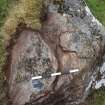 Digital photograph of perpendicular to carved surface(s), Scotland's Rock Art Project, Strath Sgitheach Farmstead, Highland