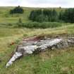 Digital photograph of panel to south, from Scotland's Rock Art Project, Strath Sgitheach Farmstead, Highland