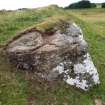 Digital photograph of panel in context without scale, from Scotland's Rock Art Project, Strath Sgitheach Farmstead, Highland