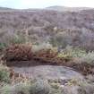 Digital photograph of panel to north, from Scotland's Rock Art Project, Strath Sgitheach Cnoc A' Mhuilinn 10, Highland