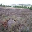 Digital photograph of rock art panel context, Scotland's Rock Art Project, Strath Sgitheach Cnoc A' Mhuilinn 10, Highland