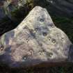 Digital photograph of rock art panel context, Scotland's Rock Art Project, Swordale Farm 1, Highland