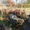 Digital photograph of rock art panel context, Scotland's Rock Art Project, Swordale Farm 1, Highland