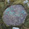 Digital photograph of rock art panel context, Scotland's Rock Art Project, Tordarroch Cairn, Highland
