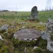 Digital photograph of panel to south, from Scotland's Rock Art Project, Tordarroch Cairn, Highland