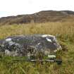 Digital photograph of rock art panel context, Scotland's Rock Art Project, Torr Mor Ghaodeil Arisaig, Highland