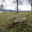 Digital photograph of panel to south, from Scotland's Rock Art Project, Uplands 1, Highland