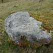 Digital photograph of panel before cleaning, from Scotland's Rock Art Project, Uplands 2, Highland