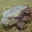 Digital photograph of rock art panel context, Scotland's Rock Art Project, Uplands 2, Highland