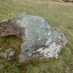 Digital photograph of rock art panel context, Scotland's Rock Art Project, Uplands 2, Highland