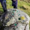 Digital photograph of rock art panel context, Scotland's Rock Art Project, Urchany 1, Highland