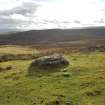 Digital photograph of panel to south-east, from Scotland's Rock Art Project, Urchany 1, Highland