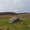 Digital photograph of panel to south-west, from Scotland's Rock Art Project, Urchany 1, Highland