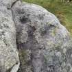 Digital photograph of close ups of motifs, from Scotland's Rock Art Project, Urchany 1, Highland