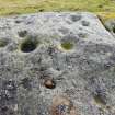 Digital photograph of close ups of motifs, from Scotland's Rock Art Project, Urchany 1, Highland