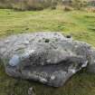 Digital photograph of panel to south, from Scotland's Rock Art Project, Urchany 1, Highland