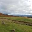 Digital photograph of panel in context without scale, from Scotland's Rock Art Project, Urchany 1, Highland