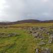 Digital photograph of panorama, from Scotland's Rock Art Project, Urchany 1, Highland