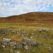 Digital photograph of panorama, from Scotland's Rock Art Project, Urchany 1, Highland