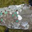 Digital photograph of rock art panel context, Scotland's Rock Art Project, Urchany 3, Highland